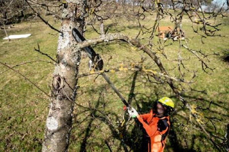 Metabo Τηλεσκοπικό ΕΞΑΡΤΗΜΑ Αλυσοπρίονο MA-MS 25 - Image 4