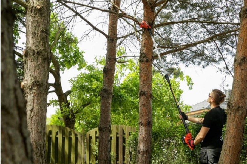 ΚΟΝΤΑΡΟΠΡΙΟΝΟ+ΨΑΛΙΔΙ  ΜΠΟΡΝΤΟΥΡΑΣ ΜΠΑΤΑΡΙΑΣ  2 ΣΕ 1 18V SOLO YT-828391 ΥΑΤΟ - Image 3