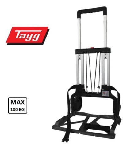 ΠΛΑΤΦΟΡΜΑ ΜΕΤΑΦΟΡΑΣ TROLLEY TAYG ΑΝΑΜΕΝΕΤΑΙ
